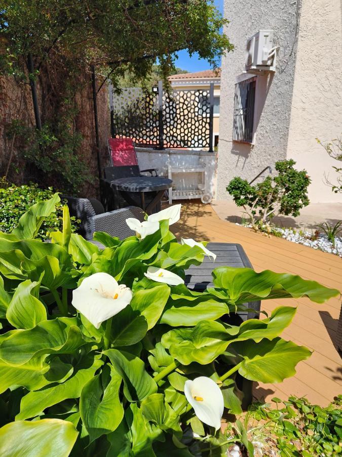Petite Etoile De Mer - Studio Hyper Equipe A 150M D'Une Plage De Sable Fin Grande Terrasse Presqu'Ile De Charme Saint-Mandrier-sur-Mer Ngoại thất bức ảnh